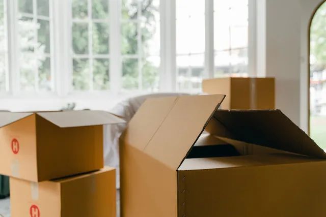 Open cardboard boxes in a bright room with large windows and greenery visible outside.